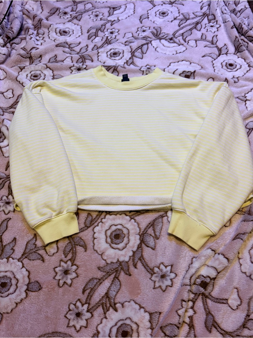 Wild Fable Cropped Crewneck Sweatshirt
